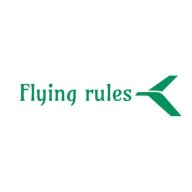 flying_rules