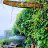 kodaiheavenresort